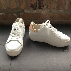 Ash Cult Platform Lace Up Sneaker